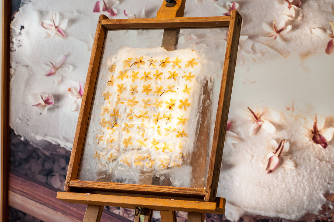 Extraction Methods Used In Perfumery