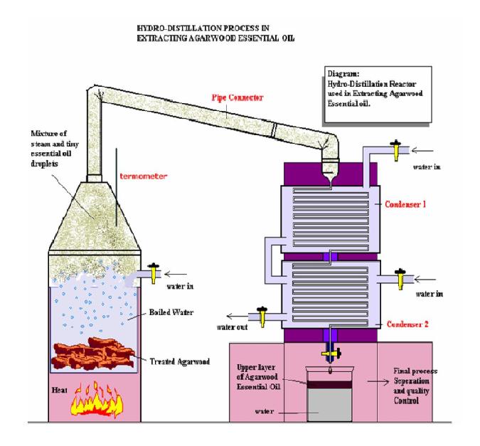 Hydro-distillation